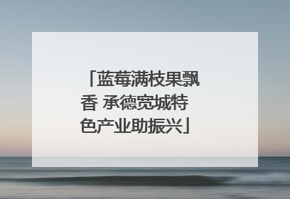 蓝莓满枝果飘香 承德宽城特色产业助振兴