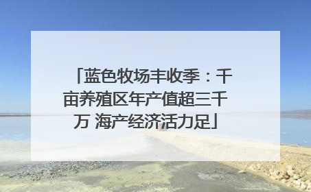 蓝色牧场丰收季：千亩养殖区年产值超三千万 海产经济活力足