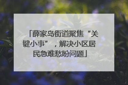 薛家岛街道聚焦“关键小事”，解决小区居民急难愁盼问题