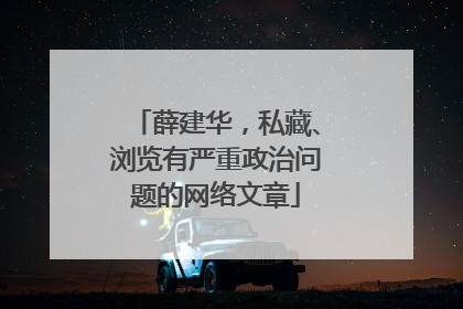 薛建华，私藏、浏览有严重政治问题的网络文章