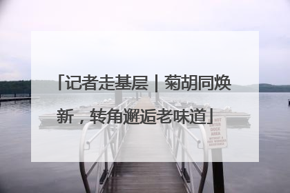 记者走基层｜菊胡同焕新，转角邂逅老味道