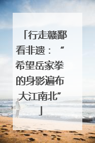 行走赣鄱看非遗：“希望岳家拳的身影遍布大江南北”