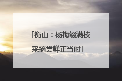 衡山：杨梅缀满枝 采摘尝鲜正当时