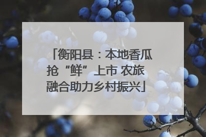 衡阳县：本地香瓜抢“鲜”上市 农旅融合助力乡村振兴