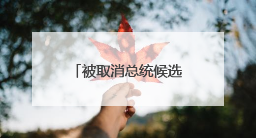 被取消总统候选人资格 金文洙：将采取政治法律措施讨回公道