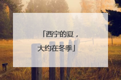 西宁的夏，大约在冬季