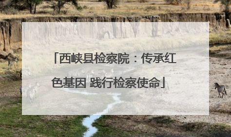 西峡县检察院：传承红色基因 践行检察使命