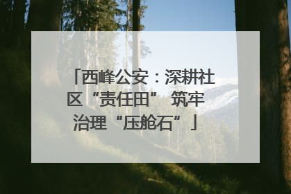 西峰公安：深耕社区“责任田” 筑牢治理“压舱石”