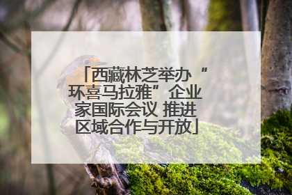 西藏林芝举办“环喜马拉雅”企业家国际会议 推进区域合作与开放