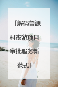 解码鲁源村夜游项目审批服务新范式
