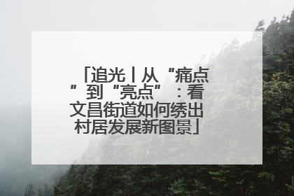 追光丨从“痛点”到“亮点”：看文昌街道如何绣出村居发展新图景