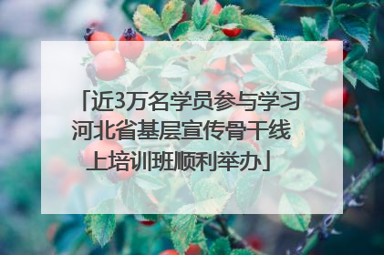 近3万名学员参与学习 河北省基层宣传骨干线上培训班顺利举办