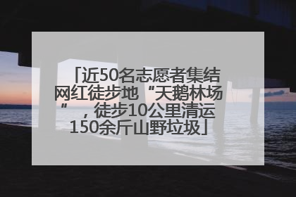 近50名志愿者集结网红徒步地“天鹅林场”，徒步10公里清运150余斤山野垃圾