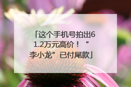 这个手机号拍出61.2万元高价！“李小龙”已付尾款