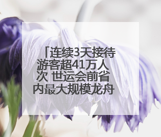 连续3天接待游客超41万人次 世运会前省内最大规模龙舟赛事收官