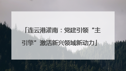 连云港灌南：党建引领“主引擎”激活新兴领域新动力