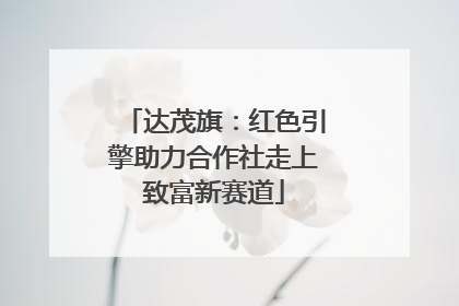 达茂旗：红色引擎助力合作社走上致富新赛道