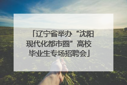 辽宁省举办“沈阳现代化都市圈”高校毕业生专场招聘会
