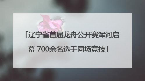辽宁省首届龙舟公开赛浑河启幕 700余名选手同场竞技