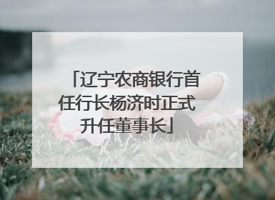 辽宁农商银行首任行长杨济时正式升任董事长