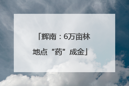 辉南：6万亩林地点“药”成金