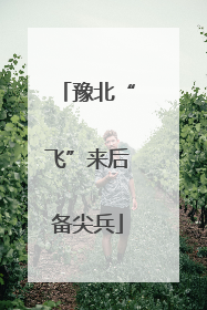 豫北“飞”来后备尖兵