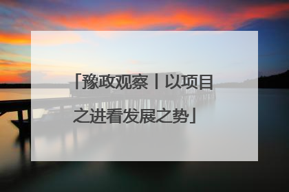 豫政观察丨以项目之进看发展之势