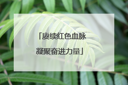 赓续红色血脉 凝聚奋进力量