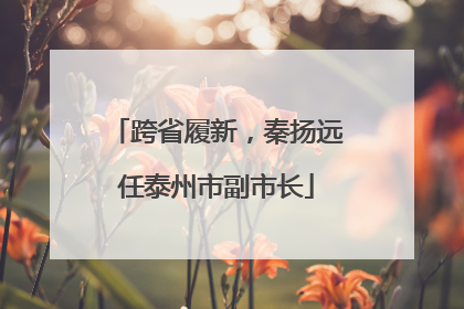 跨省履新，秦扬远任泰州市副市长