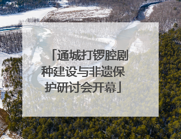 通城打锣腔剧种建设与非遗保护研讨会开幕