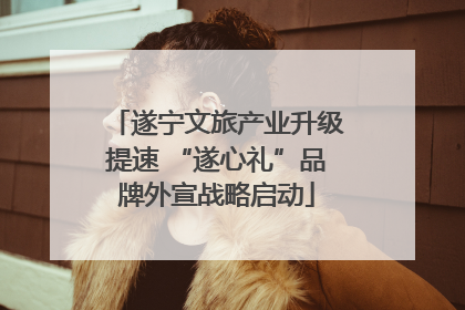 遂宁文旅产业升级提速 “遂心礼”品牌外宣战略启动