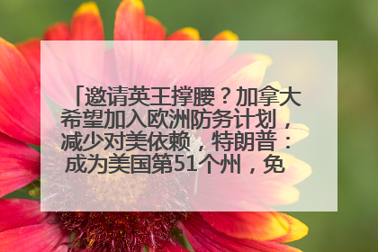 邀请英王撑腰？加拿大希望加入欧洲防务计划，减少对美依赖，特朗普：成为美国第51个州，免费用“金穹”