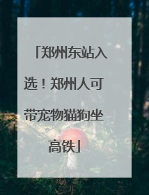 郑州东站入选！郑州人可带宠物猫狗坐高铁