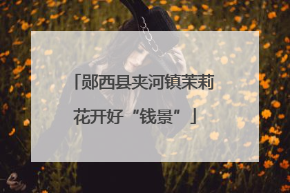郧西县夹河镇茉莉花开好“钱景”