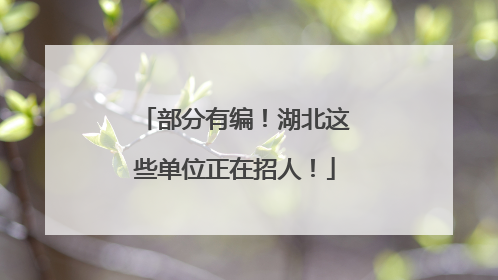 部分有编！湖北这些单位正在招人！