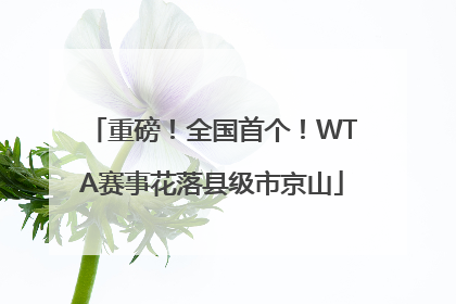重磅！全国首个！WTA赛事花落县级市京山