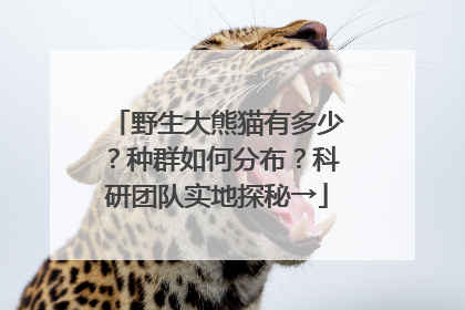 野生大熊猫有多少？种群如何分布？科研团队实地探秘→