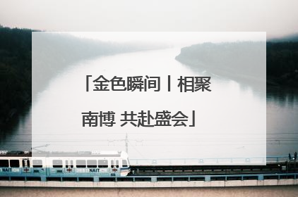 金色瞬间丨相聚南博 共赴盛会