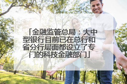 金融监管总局：大中型银行目前已在总行和省分行层面都设立了专门的科技金融部门