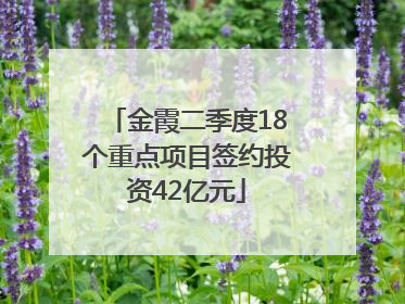 金霞二季度18个重点项目签约投资42亿元