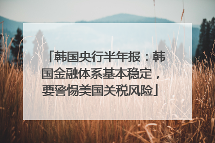 韩国央行半年报：韩国金融体系基本稳定，要警惕美国关税风险