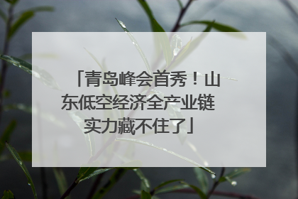 青岛峰会首秀！山东低空经济全产业链实力藏不住了