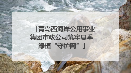 青岛西海岸公用事业集团市政公司筑牢夏季绿植“守护网”