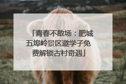 青春不散场：肥城五埠岭景区邀学子免费解锁古村奇遇