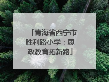 青海省西宁市胜利路小学：思政教育拓新路