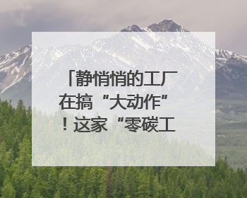 静悄悄的工厂在搞“大动作”！这家“零碳工厂”以“三创三增”探索共富新路径｜网络名人四川行
