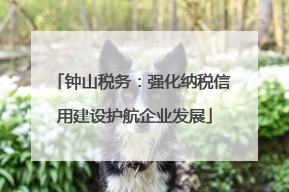 钟山税务：强化纳税信用建设护航企业发展