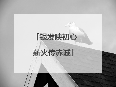 银发映初心 薪火传赤诚
