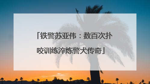 铁警苏亚伟：数百次扑咬训练淬炼警犬传奇