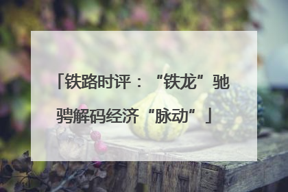 铁路时评：“铁龙”驰骋解码经济“脉动”